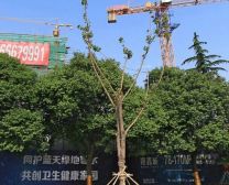 万达旁北京路集中供暖边户高楼层采光视野好!