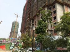 宝信润山 顶复 随时看房 集中供暖