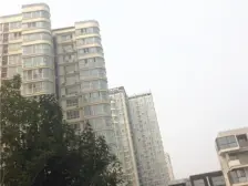 牡丹大道旁 复式叠加别墅 南北双露台 电梯入户