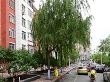 格局好,正规格局,采光没有问题,出行便利