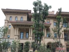 半山御景联排别墅小区人车分流 大户型 位置好 双车库