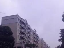 产权清晰,户型朝南格局,采光好