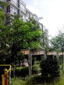 地税小区3室2厅南北