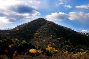 天恒半山世家6室3厅东南西南西北东北