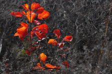 天恒半山世家 5室2厅 南 北