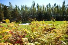 天恒半山世家 5室2厅 南 北