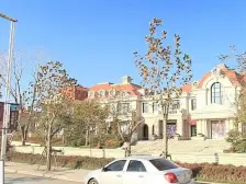 小区依山傍海,空气清新,天然氧吧景色伊人