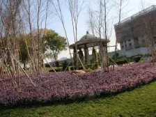 远洋荣域新上房源 采光好视野好