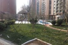 一楼带院,万科物业,精装修,南北通透,