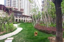 丰金檀珑湾 2室1厅 南