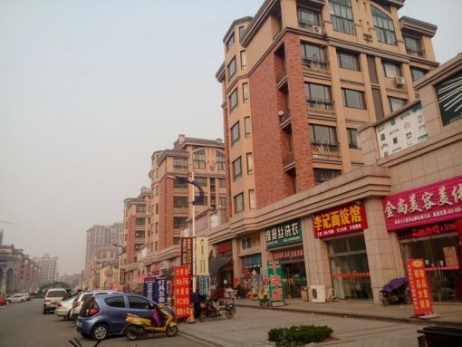 鲁发名城2室1厅1卫南北朝向1000.00元/月出租
