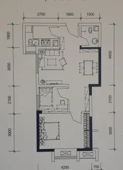 岳麓区建行单位房