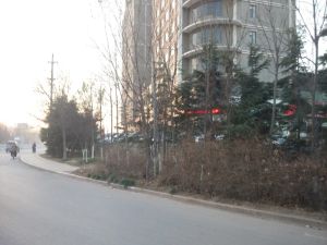 万科近电梯房精装三室38万可议