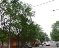 太合适了南北两室全明户型贷款随时哦