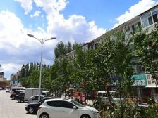 格局方正,南北通透,干净明亮,采光好