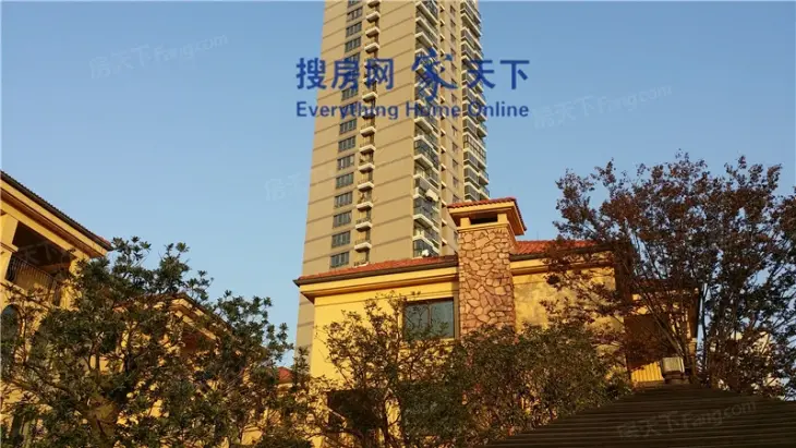 星洲国际