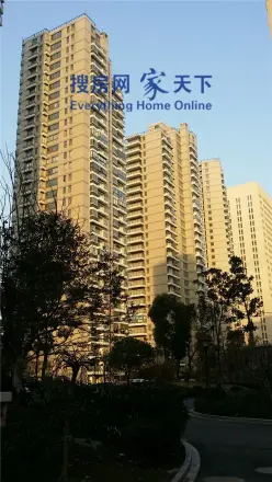 星洲国际