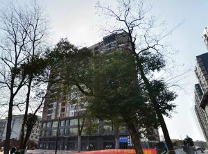 昆仑和府华庭3室2厅南