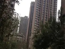 绿都丹石街区 商品房 房龄新 大两房 满五 中间楼层 电梯房