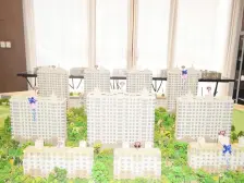 轻轨首站,南北通厅,电梯洋房,带大平台