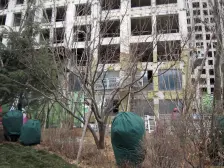 东港龙湖70年产权,一线看海,动静分离,三室两厅