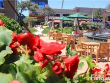 双拼大别墅 自己装修 20个物业费 全屋定制 大院子