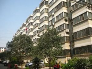 宏远小区(南顺城街) 2室2厅 南