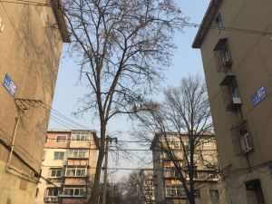 纺织小区1室1厅南北