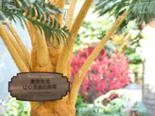 沙河口区次新楼盘 新增小两室 中间楼层 总价低精装修