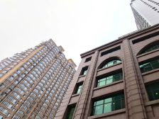 新阳路金鼎柏悦电梯房一室户型年限2010年的房子