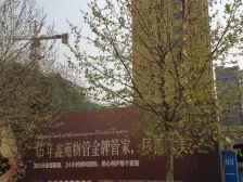 新郑轩辕湖旁边凯旋城3室好楼层