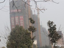 一楼带院 边户 户型方正 南北通透 电梯洋房