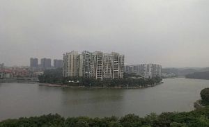 塘厦新政区全湖景岛居精装修两房出售满五唯一