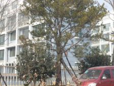 环山路带车库玫瑰庄园卧龙大观康源逸景