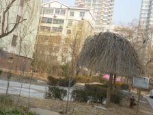 五环小区北院2室2厅南北