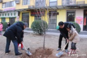 2015年3月8日“种下春天的梦想”植树活动
