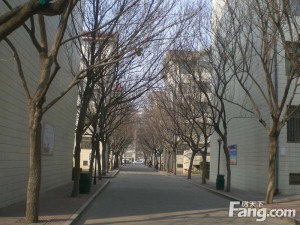 谷德广场、东方、东明近,多层四室两卫带车位和地下室