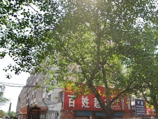 百姓家3室2厅1卫南北朝向1000.00元/月出租