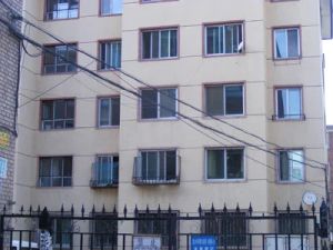 东落凤 落凤街 启秀 国标户型 小区有院 停车方便