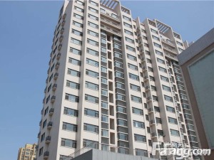 电梯房 首付低 南北通透带地下室 自带购物街