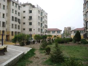 地震局青山片区 三楼 小三居 产权清晰 无大税