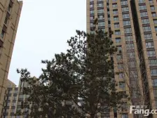 颐泊湾 2室2厅 南 北