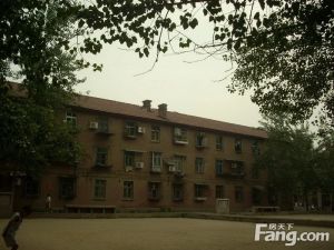 洛铜零三四北区2室2厅南