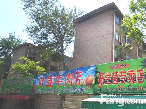 洛轴15号街坊1室1厅1卫南北朝向800.00元/月出租