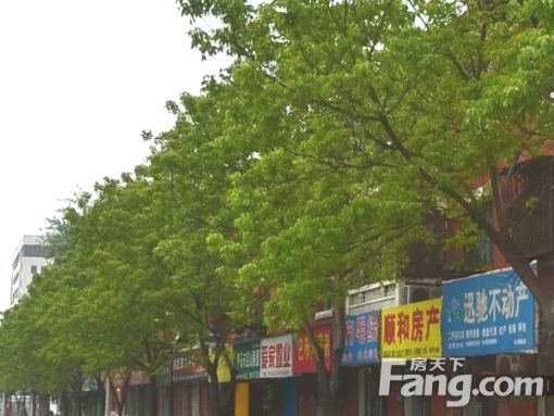 洛轴15号街坊3室1厅1卫南北朝向1000.00元/月出租