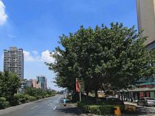 东坑镇星汇康城162平大四房出售业主自住保养好