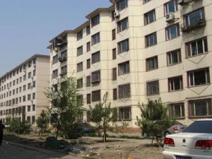 文化局宿舍 2室0厅 南 北