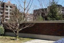 西山艺境华墅5室3厅南西北