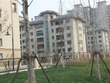 纯洋房社区,小区中间位置,带前后花园,业主急售