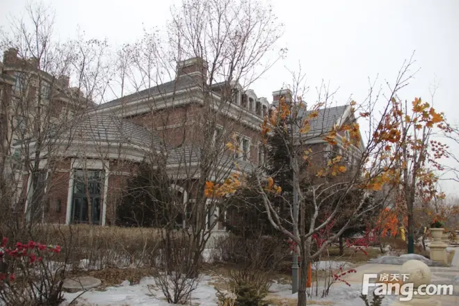 辰能溪树河谷